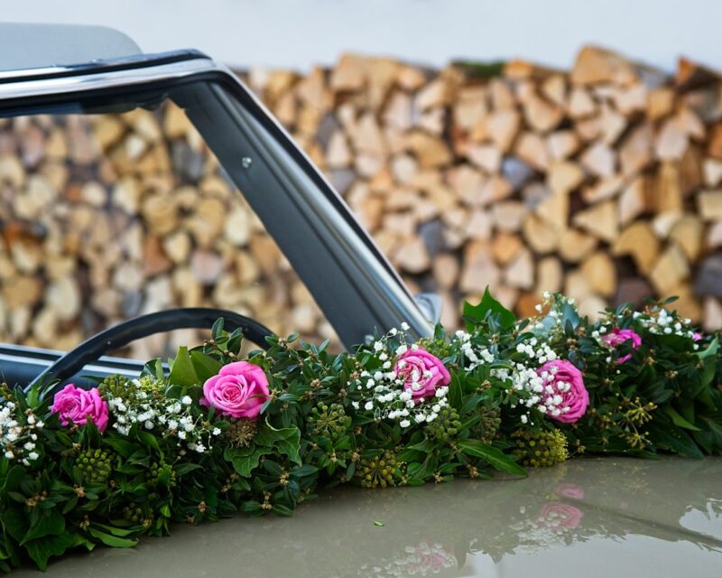 pink roses on vehicle's hood