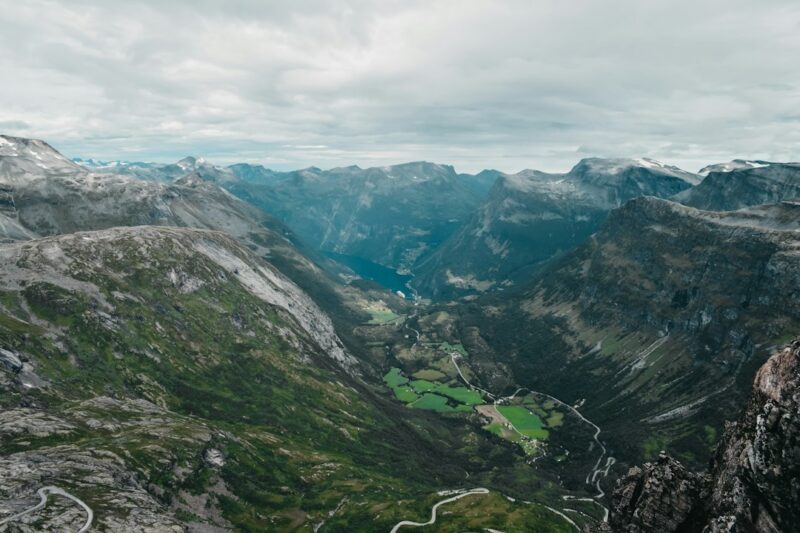 aerial photography of forest